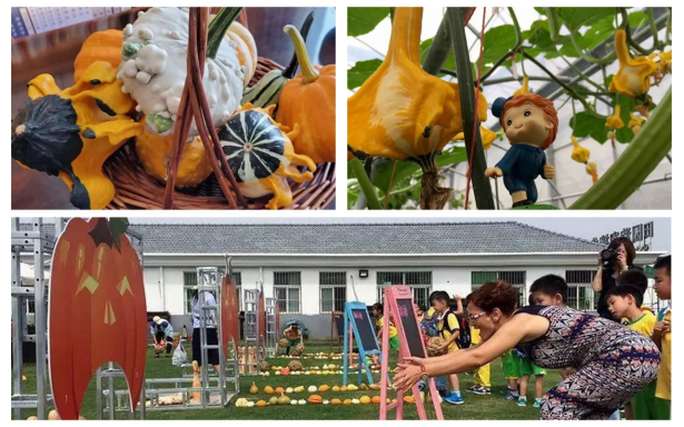 山阳田园,田园综合体的上海湾区场景(图5) 山阳田园,田园综合体的上海湾区场景