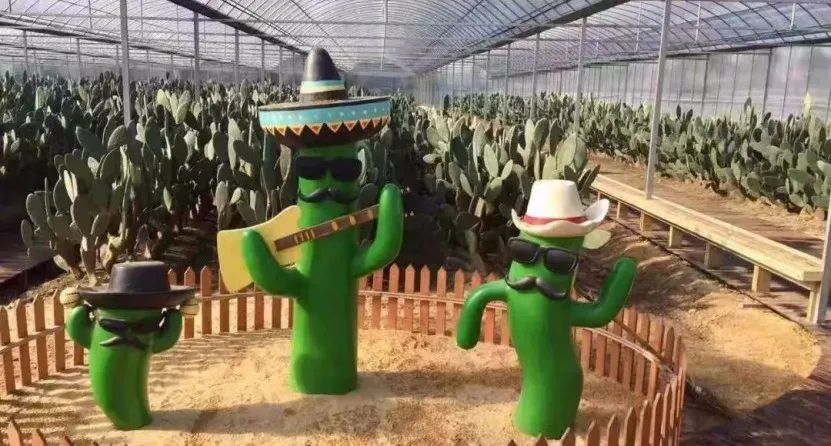 山阳田园,田园综合体的上海湾区场景(图6) 山阳田园,田园综合体的上海湾区场景