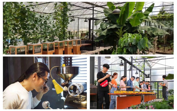 山阳田园,田园综合体的上海湾区场景(图10) 山阳田园,田园综合体的上海湾区场景