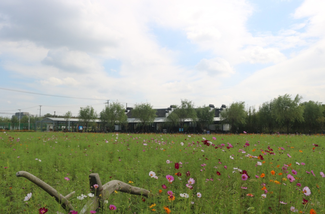 第二批上海市级乡村旅游重点村名单公布,金山这里上榜→(图12) 上海金山农庄_上海金山农业网_上海金山山阳农业基地