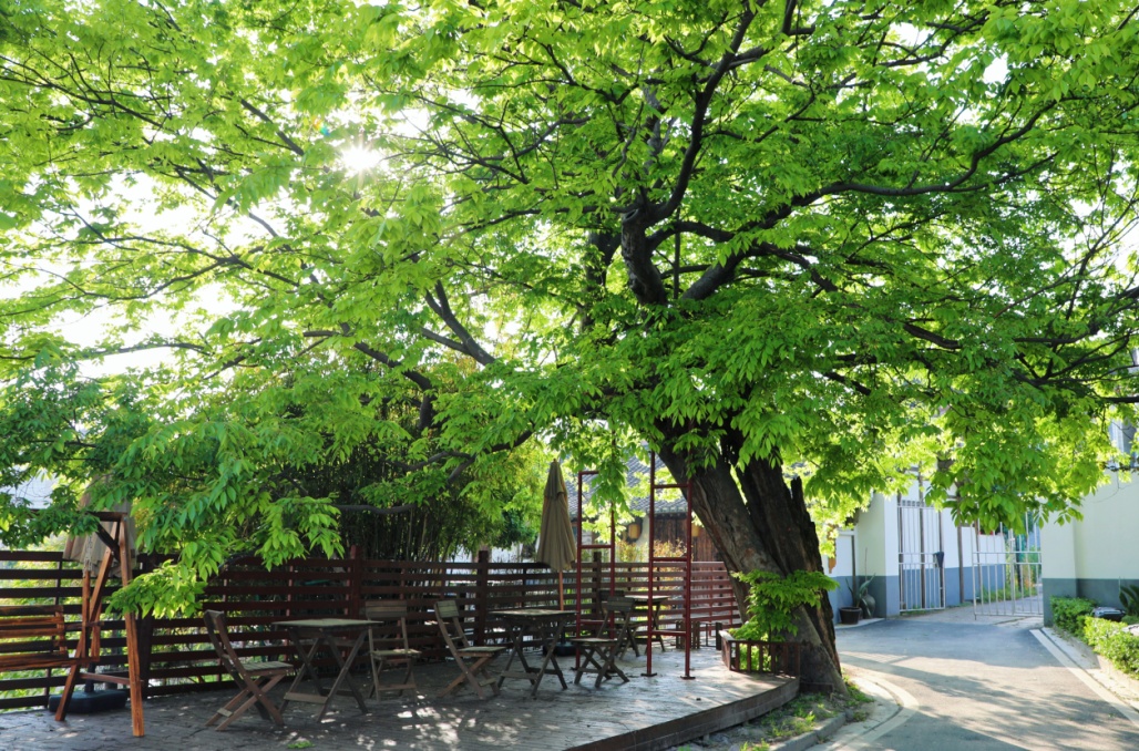 第二批上海市级乡村旅游重点村名单公布,金山这里上榜→(图13) 上海金山农业网_上海金山山阳农业基地_上海金山农庄