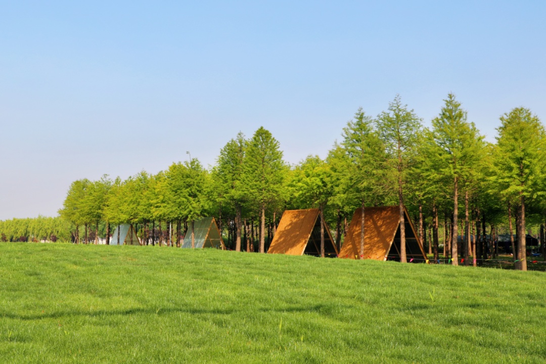 第二批上海市级乡村旅游重点村名单公布,金山这里上榜→(图14) 上海金山农庄_上海金山山阳农业基地_上海金山农业网