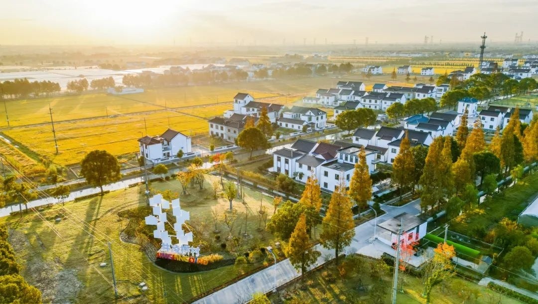 第二批上海市级乡村旅游重点村名单公布,金山这里上榜→(图19) 上海金山农业网_上海金山农庄_上海金山山阳农业基地