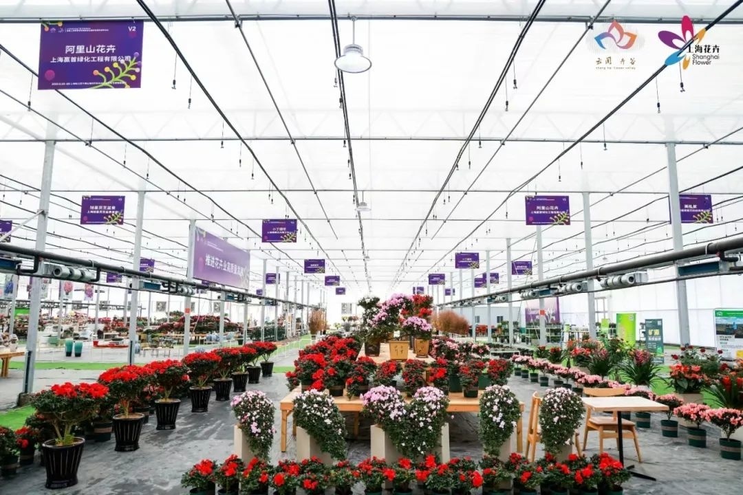 第二批上海市级乡村旅游重点村名单公布,金山这里上榜→(图20) 上海金山山阳农业基地_上海金山农庄_上海金山农业网