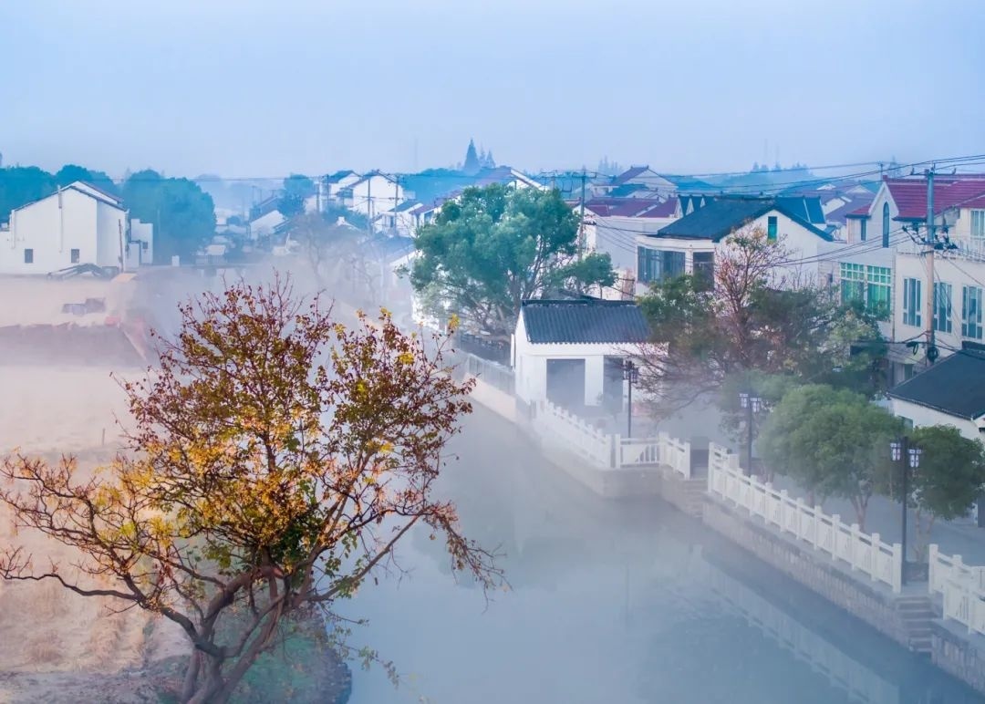 第二批上海市级乡村旅游重点村名单公布,金山这里上榜→(图3) 上海金山农庄_上海金山农业网_上海金山山阳农业基地