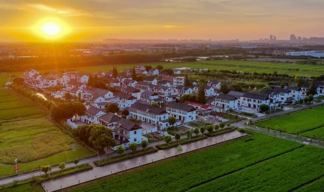 第二批上海市级乡村旅游重点村名单公布,金山这里上榜→(图27) 上海金山山阳农业基地_上海金山农庄_上海金山农业网