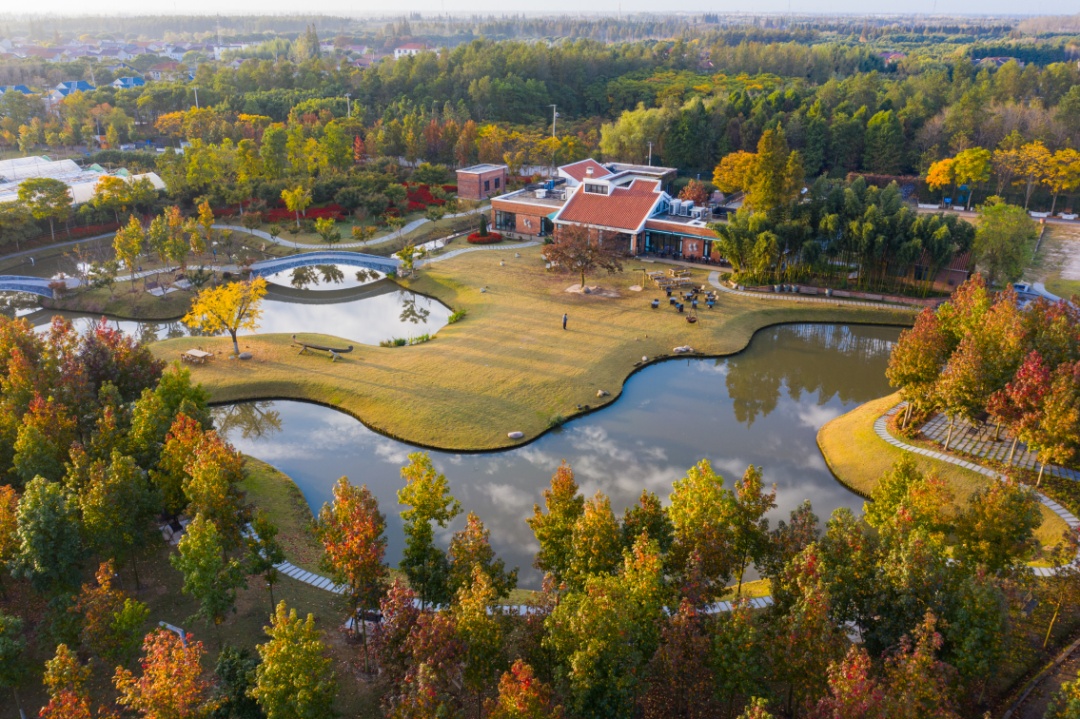 第二批上海市级乡村旅游重点村名单公布,金山这里上榜→(图29) 上海金山山阳农业基地_上海金山农业网_上海金山农庄