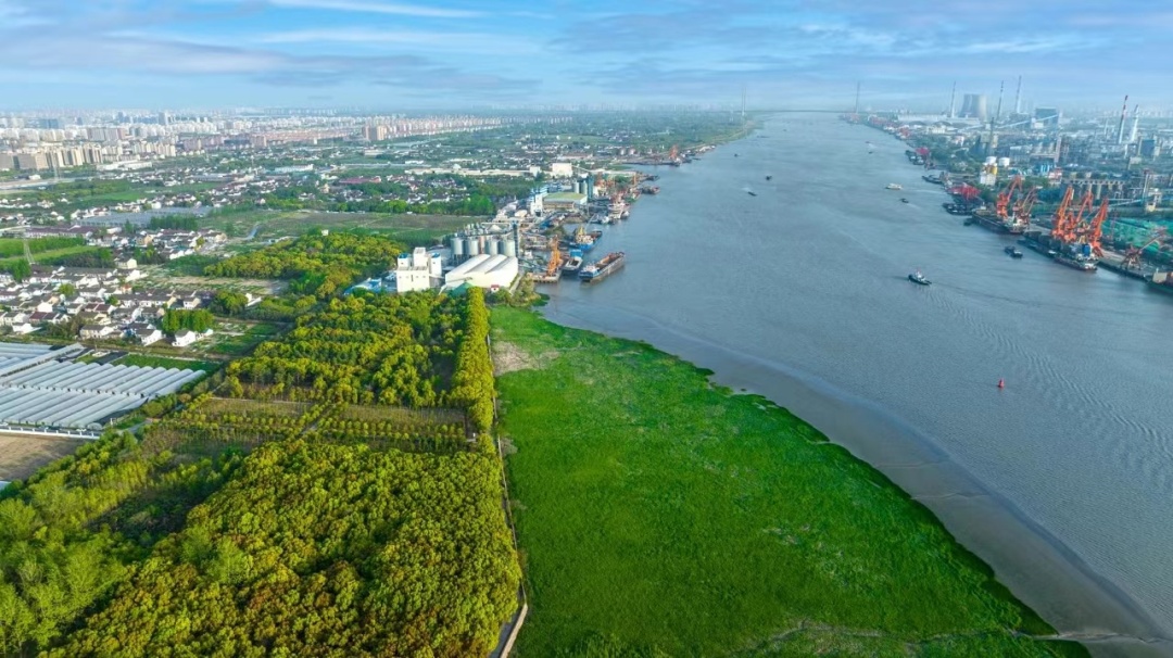 第二批上海市级乡村旅游重点村名单公布,金山这里上榜→(图10) 上海金山农庄_上海金山农业网_上海金山山阳农业基地