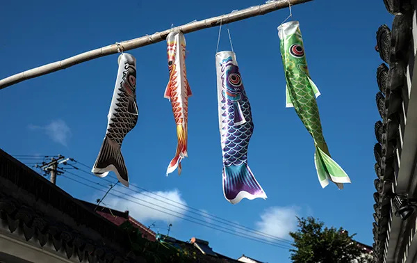 长三角28条美丽休闲乡村旅游路线,金山这两条你都去过吗?(图11) 上海金山农业生态园_上海金山山阳农业基地_上海金山农业网