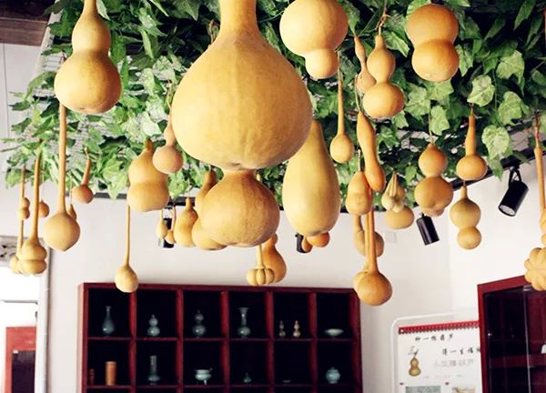 长三角28条美丽休闲乡村旅游路线,金山这两条你都去过吗?(图15) 上海金山农业生态园_上海金山山阳农业基地_上海金山农业网