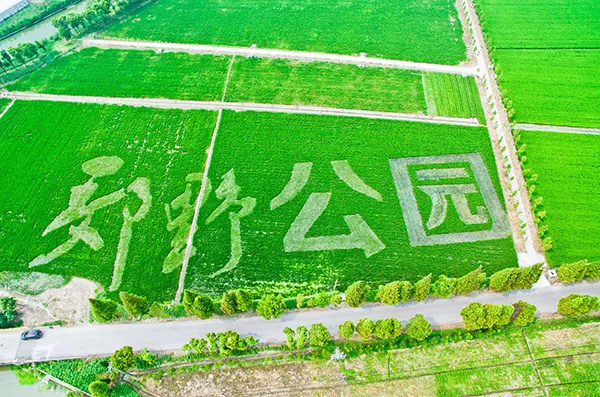 长三角28条美丽休闲乡村旅游路线,金山这两条你都去过吗?(图18) 上海金山农业生态园_上海金山山阳农业基地_上海金山农业网