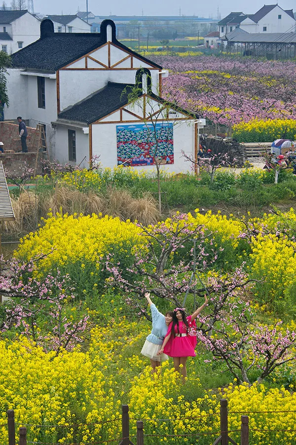 长三角28条美丽休闲乡村旅游路线,金山这两条你都去过吗?(图19) 上海金山山阳农业基地_上海金山农业生态园_上海金山农业网