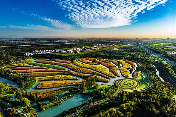 长三角28条美丽休闲乡村旅游路线,金山这两条你都去过吗?(图3) 上海金山农业生态园_上海金山山阳农业基地_上海金山农业网