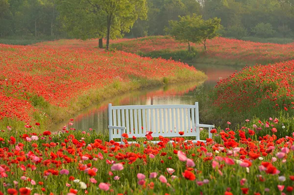 长三角28条美丽休闲乡村旅游路线,金山这两条你都去过吗?(图4) 上海金山农业网_上海金山山阳农业基地_上海金山农业生态园