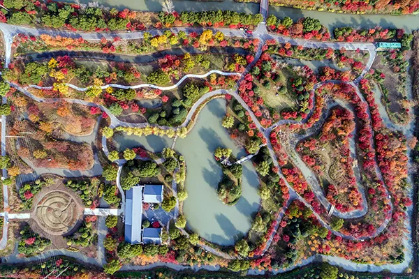 长三角28条美丽休闲乡村旅游路线,金山这两条你都去过吗?(图5) 上海金山山阳农业基地_上海金山农业生态园_上海金山农业网