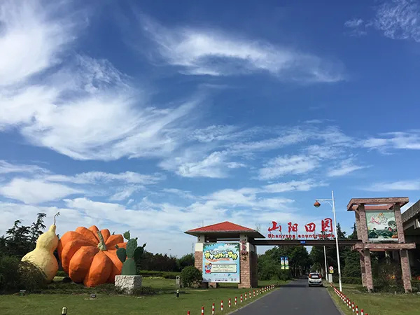 长三角28条美丽休闲乡村旅游路线,金山这两条你都去过吗?(图8) 上海金山农业生态园_上海金山山阳农业基地_上海金山农业网