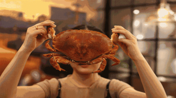 【朱雀大街】豪霸餐厅吃遍海陆盛宴!仅188吃666元【君悦酒道馆】3-4人盛宴!清蒸面包蟹、茶香焗基围虾、广式白切鸡(图8) 广式白切鸡_广式白切鸡的制作过程_广式白切鸡图片