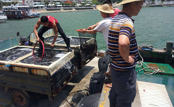 【朱雀大街】豪霸餐厅吃遍海陆盛宴!仅188吃666元【君悦酒道馆】3-4人盛宴!清蒸面包蟹、茶香焗基围虾、广式白切鸡(图6) 广式白切鸡图片_广式白切鸡_广式白切鸡的制作过程