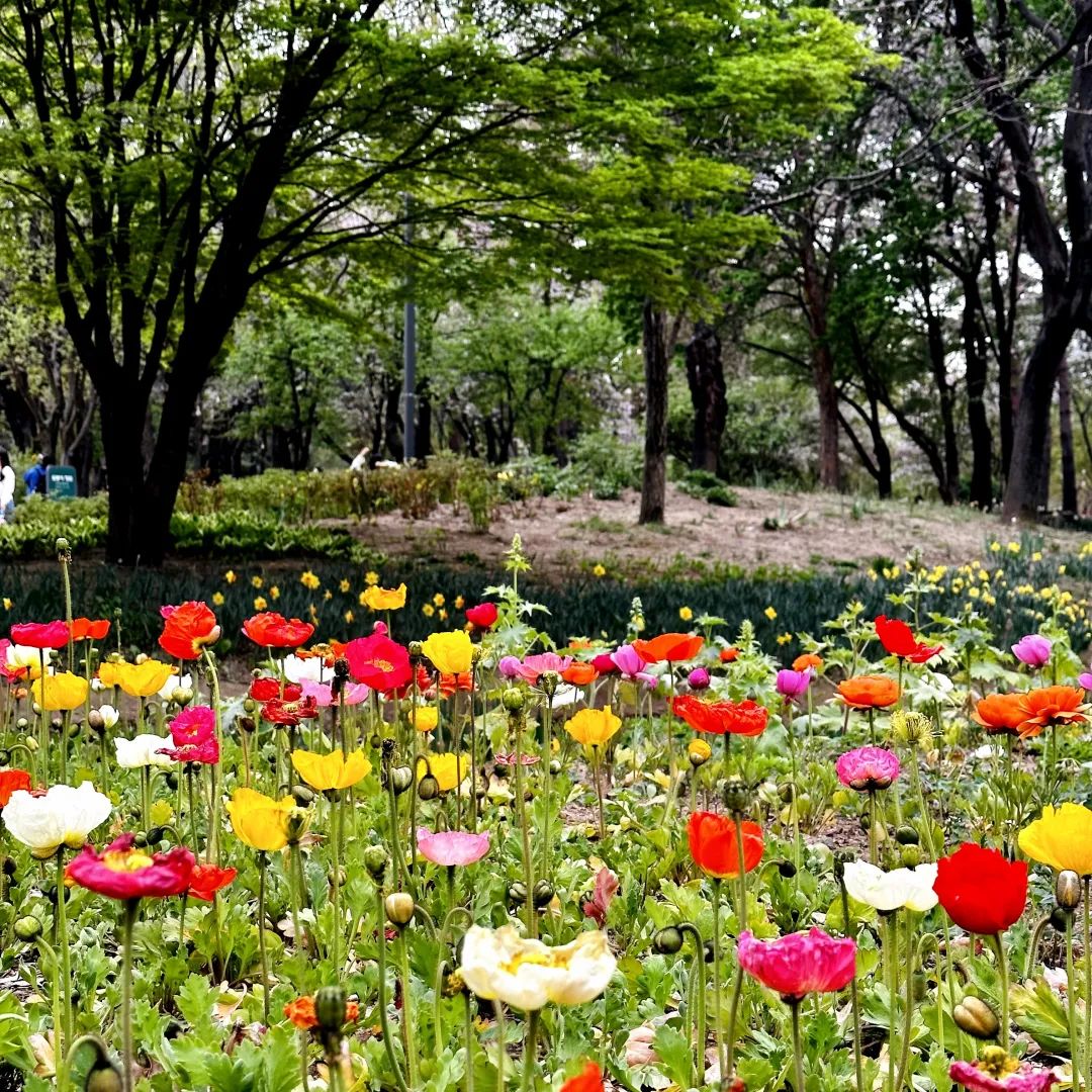 战利品分享!这里太好逛太好买了(图51) 韩国文具店装修效果图_韩国文具店装修_韩国文具店artbox加盟