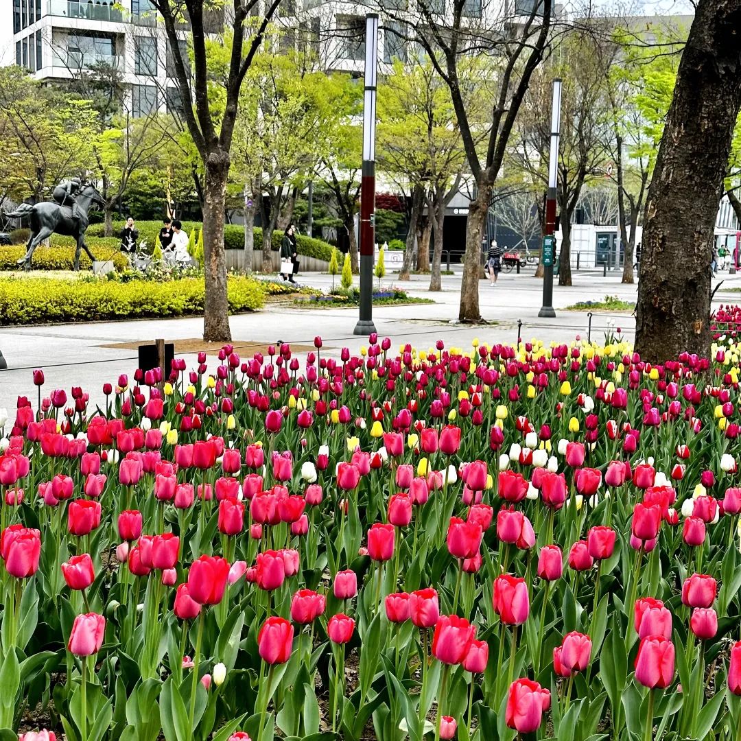 战利品分享!这里太好逛太好买了(图52) 韩国文具店装修_韩国文具店装修效果图_韩国文具店artbox加盟