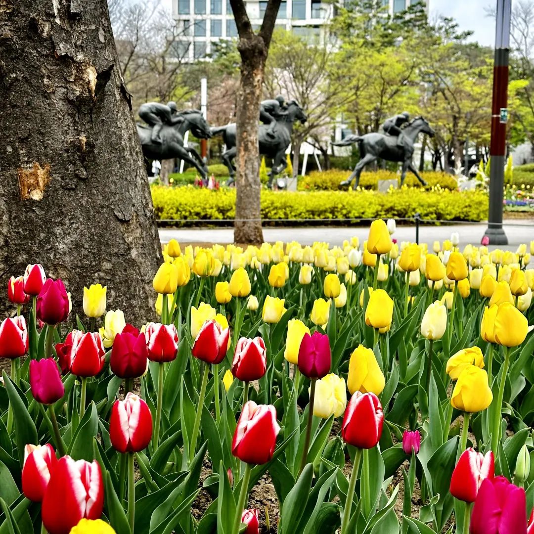 战利品分享!这里太好逛太好买了(图53) 韩国文具店artbox加盟_韩国文具店装修效果图_韩国文具店装修