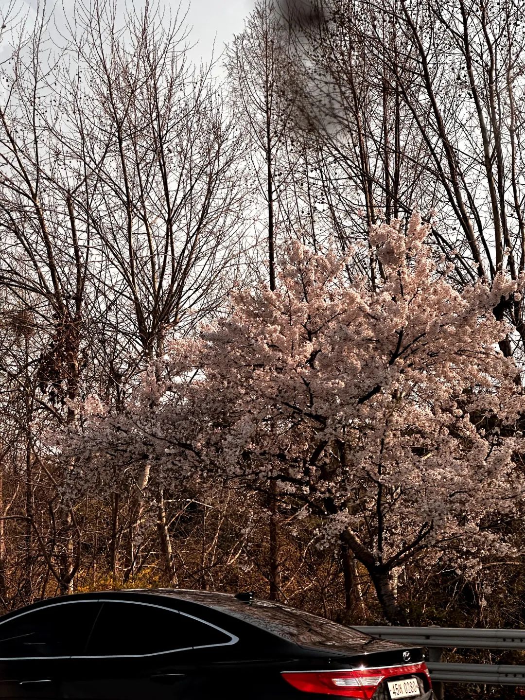 战利品分享!这里太好逛太好买了(图56) 韩国文具店装修_韩国文具店artbox加盟_韩国文具店装修效果图