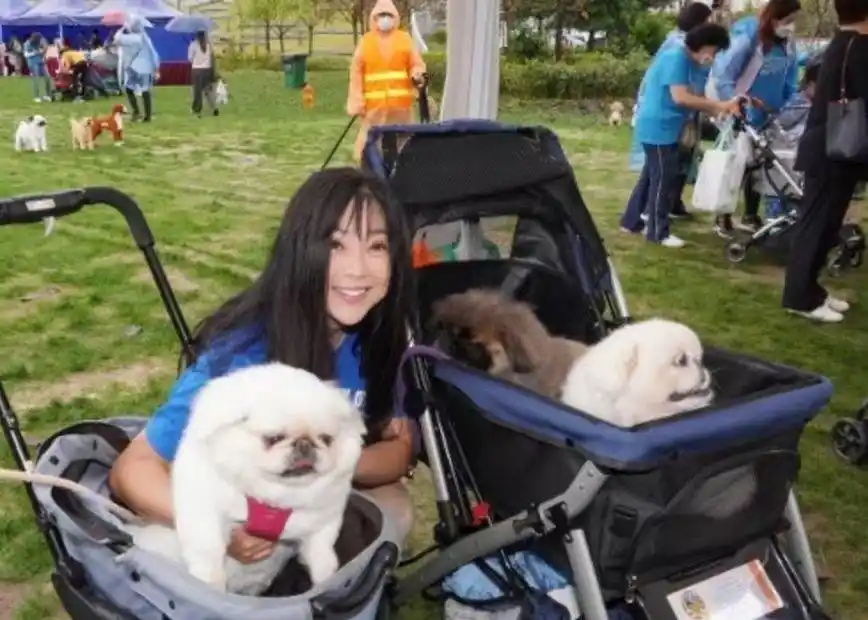 庄家彬傅明宪_傅明宪庄家彬图片_庄家彬怎么喜欢傅明宪