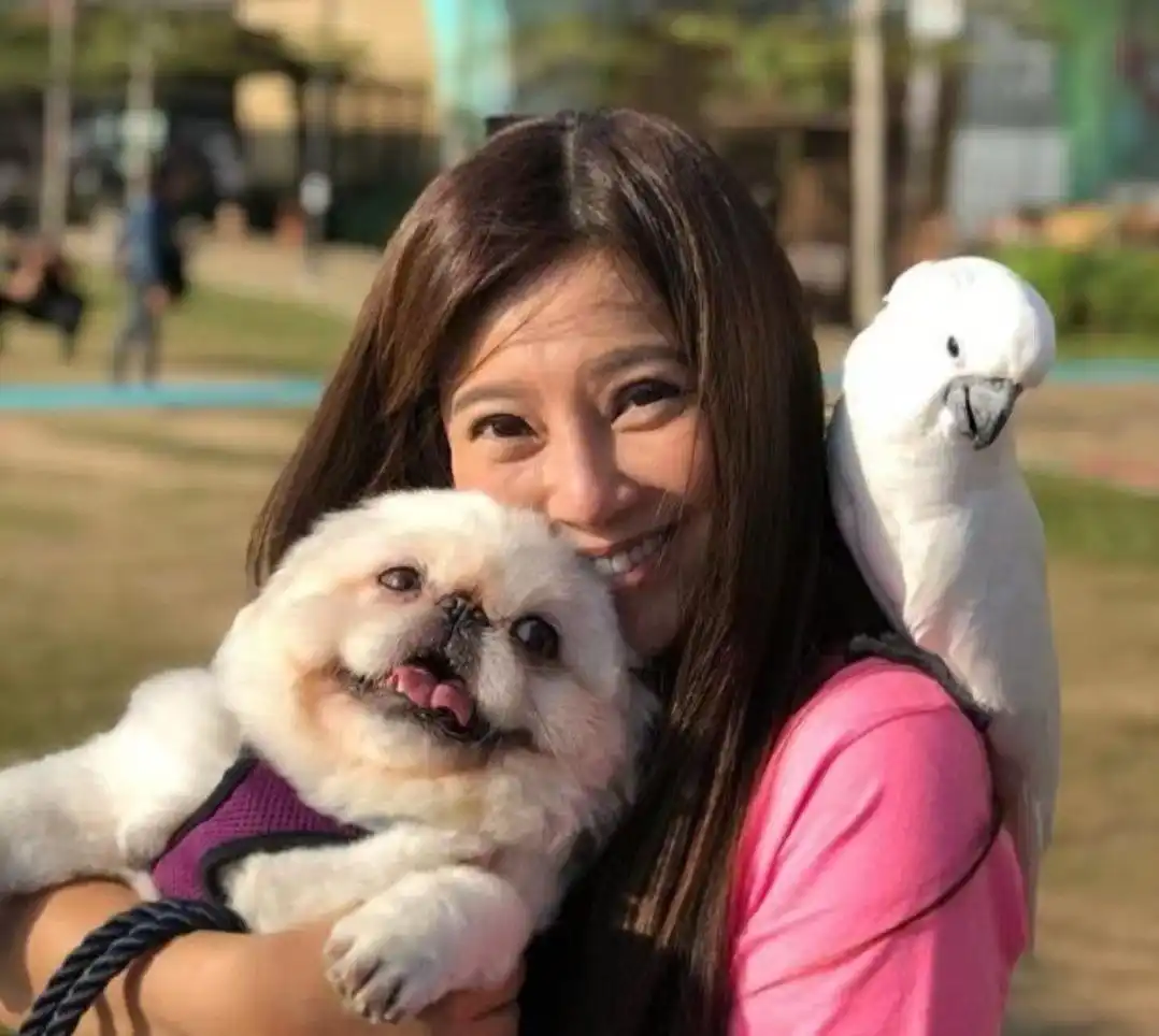 庄家彬傅明宪_傅明宪庄家彬图片_庄家彬怎么喜欢傅明宪