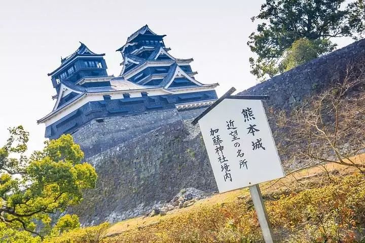 上海到熊本7天游_到熊本旅行价钱_熊本旅行结婚