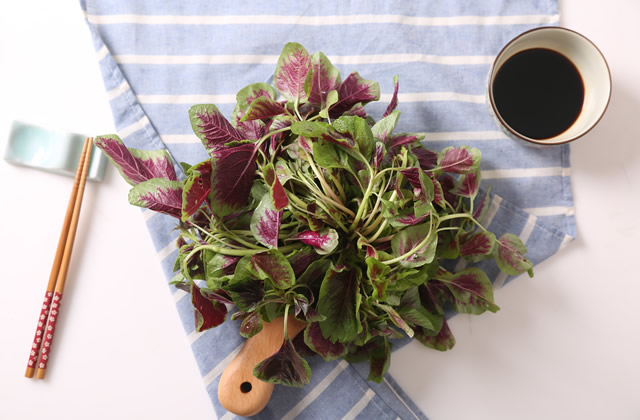 含钙高的蔬菜有哪些?含钙高的蔬菜排行榜(图1) 高钙菜_高钙菜_高钙菜