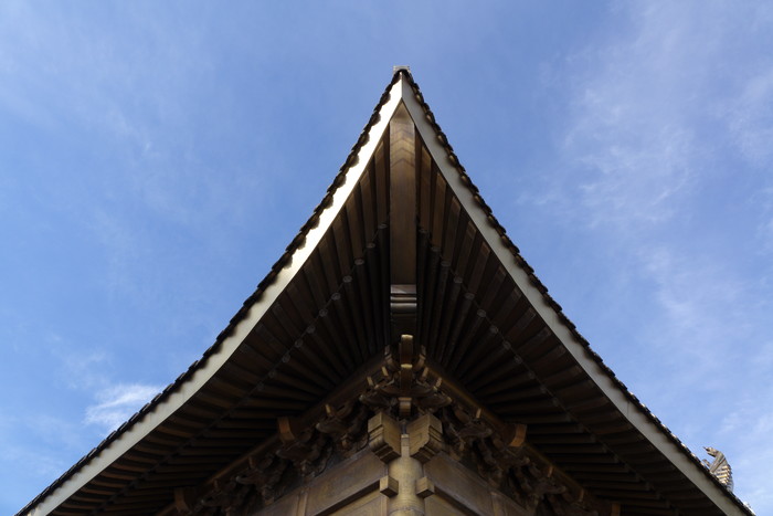 40倍超慢动作新视界 索尼黑卡RX10II评测(图48) 40倍超慢动作新视界 索尼RX10 II相机评测