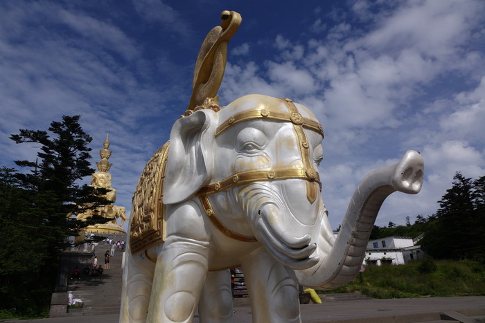 40倍超慢动作新视界 索尼黑卡RX10II评测(图51) 40倍超慢动作新视界 索尼黑卡™RX10II评测