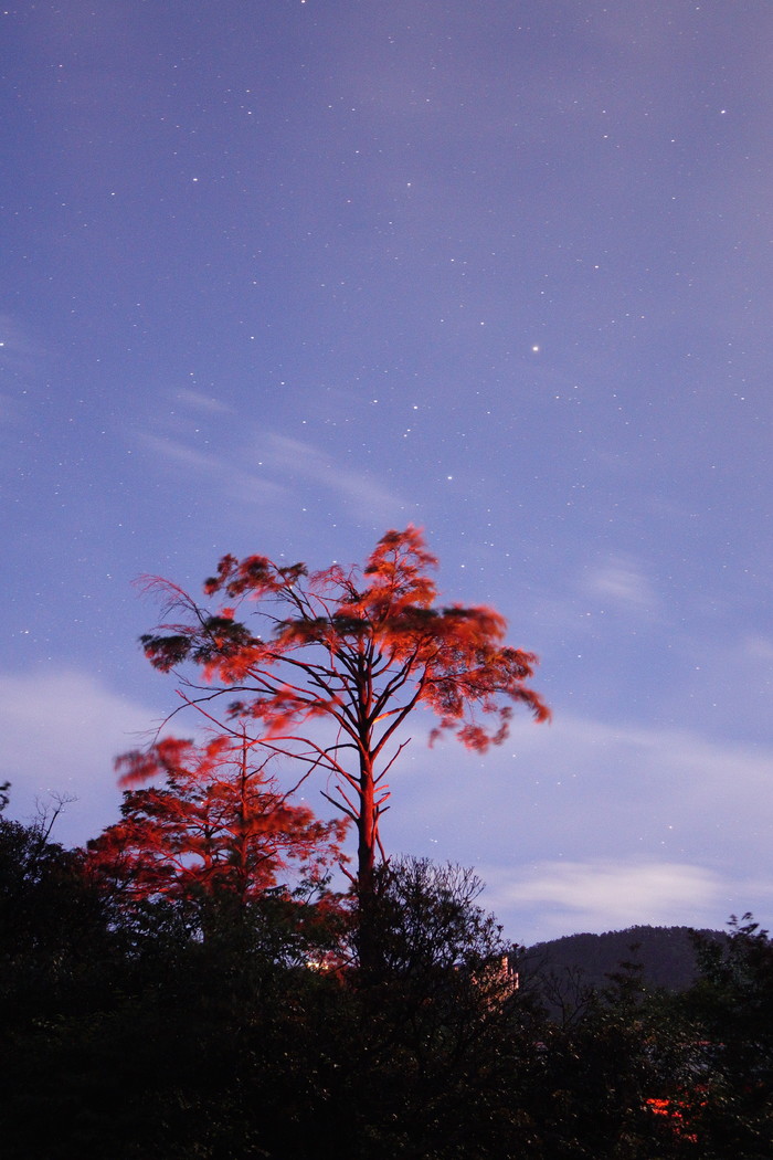 40倍超慢动作新视界 索尼黑卡RX10II评测(图52) 40倍超慢动作新视界 索尼RX10 II相机评测