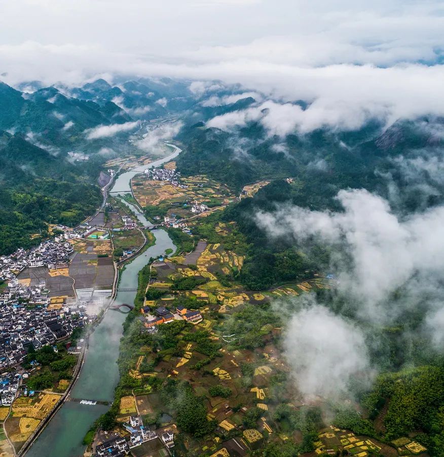 宣城绩溪,凭什么是“徽菜”的发源地?(图23) 绩溪徽菜美食文化节2024年_绩溪徽菜_绩溪徽菜博物馆老板是谁