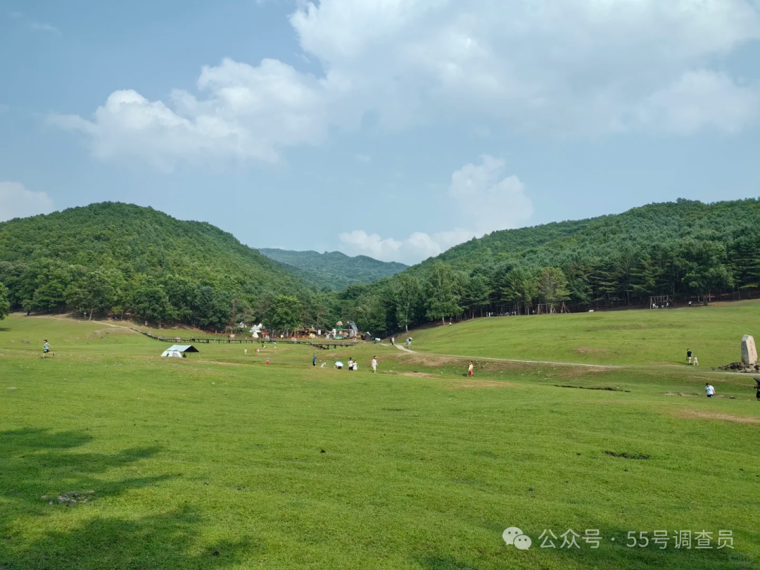 伊春美食_伊春美食推荐_伊春必吃美食