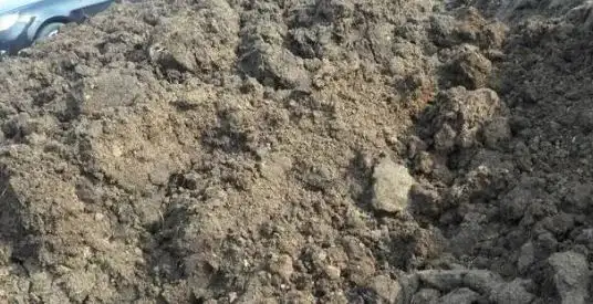 养牛场一大难题!牛粪怎么处理?给你支招!(图5) 图片