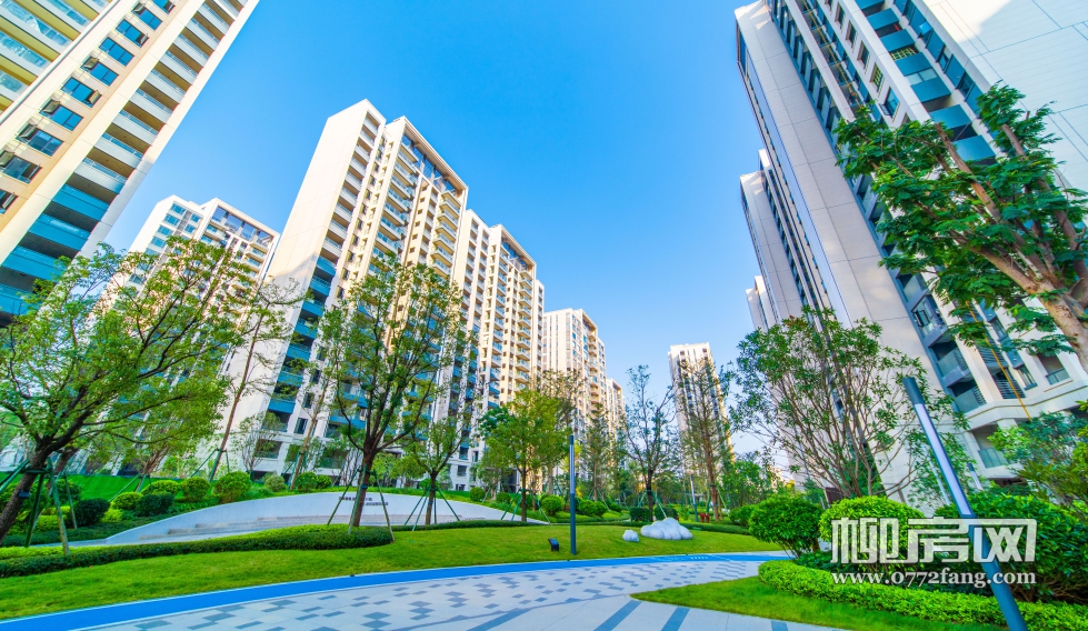 想来年落户上学,可关注柳州这些交房快、拿证快的楼盘!(图8) 图片