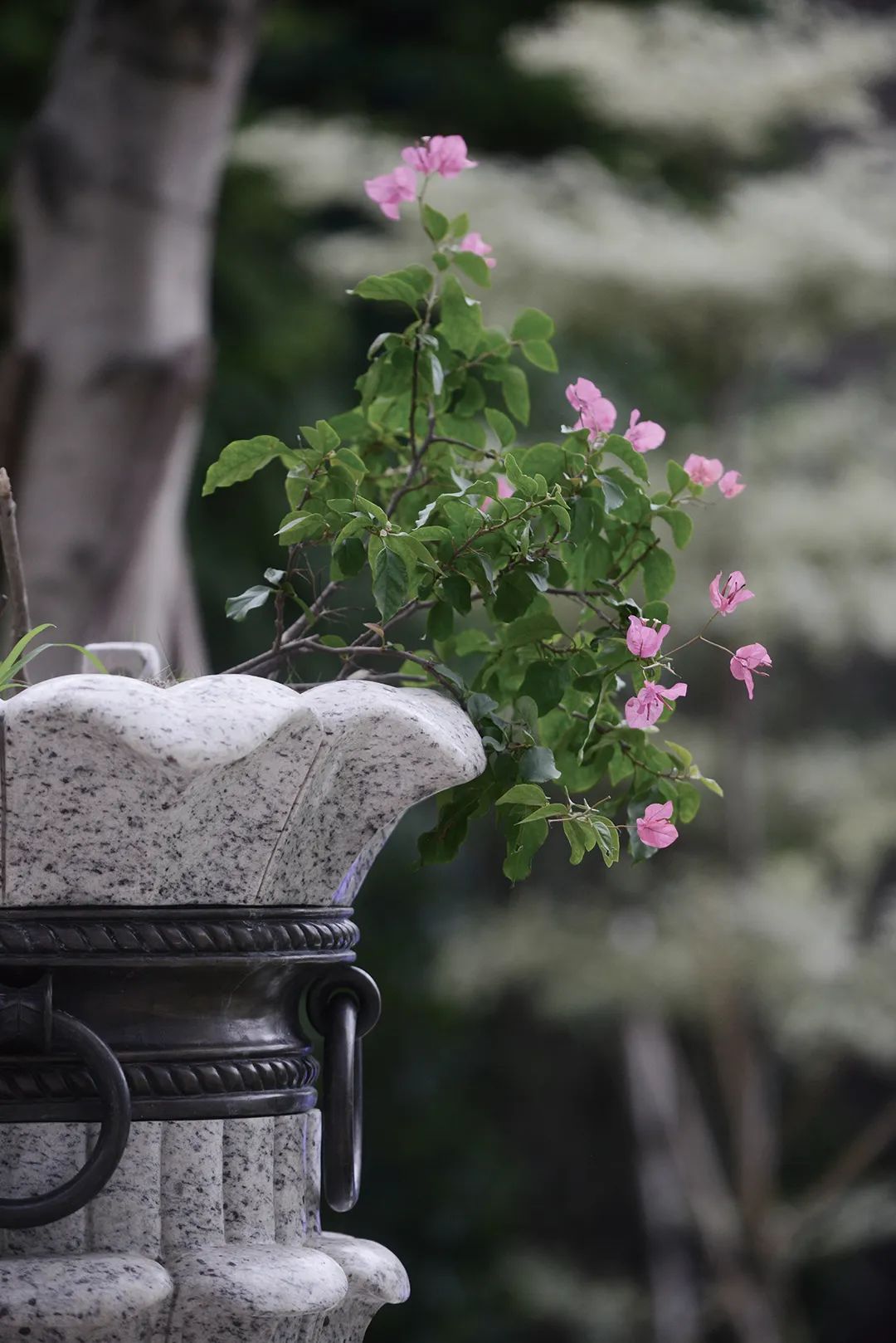 旭日东海 不居高何以临下 身在深圳 发现世界级选择(图21) 旭日装饰公司_旭日装饰_旭日装饰昆山