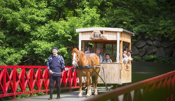 最受欢迎的日本星野机+酒又来啦!这里还有堪比京都的小众赏樱名所!(图16) 海鲜池打氧设备安装_海鲜池打氧机_海鲜打氧设备