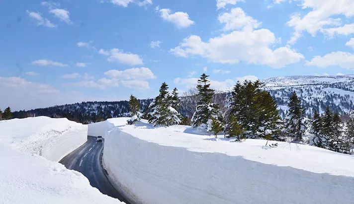 最受欢迎的日本星野机+酒又来啦!这里还有堪比京都的小众赏樱名所!(图17) 海鲜池打氧设备安装_海鲜打氧设备_海鲜池打氧机