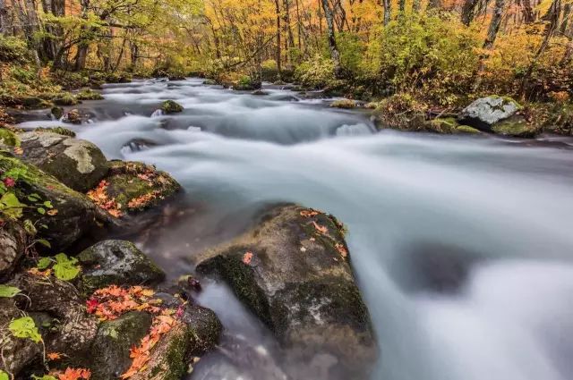 最受欢迎的日本星野机+酒又来啦!这里还有堪比京都的小众赏樱名所!(图19) 海鲜池打氧设备安装_海鲜池打氧机_海鲜打氧设备