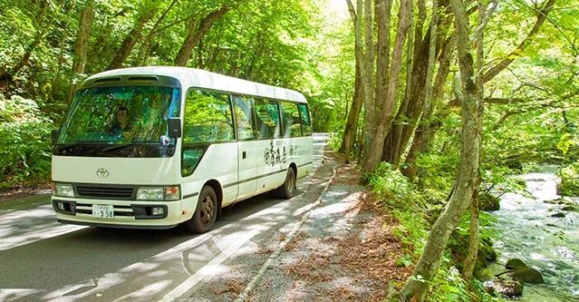 最受欢迎的日本星野机+酒又来啦!这里还有堪比京都的小众赏樱名所!(图27) 海鲜池打氧设备安装_海鲜打氧设备_海鲜池打氧机