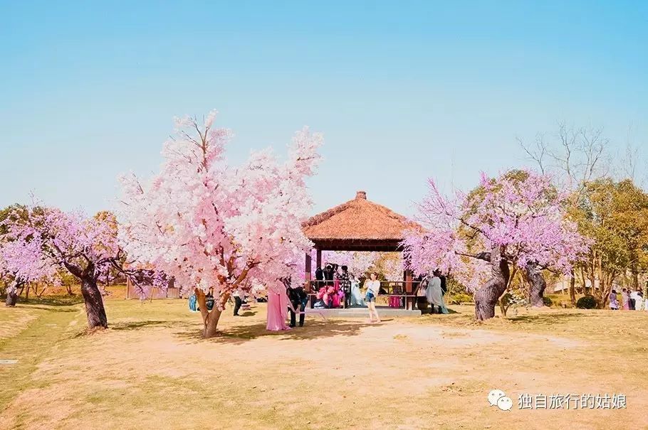 海鲜池打氧机_海鲜池打氧设备安装_海鲜打氧气机