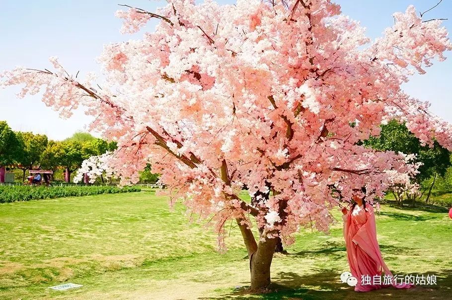 海鲜池打氧设备安装_海鲜打氧气机_海鲜池打氧机