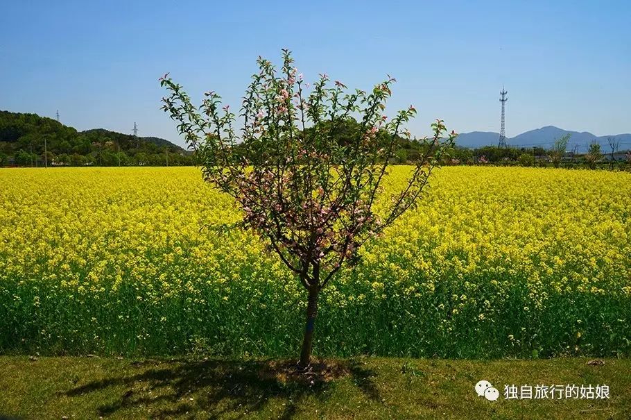 海鲜打氧气机_海鲜池打氧机_海鲜池打氧设备安装