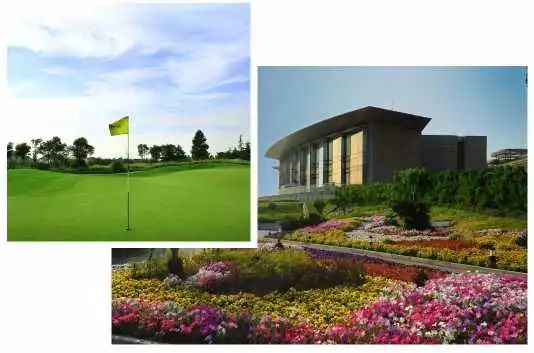 私藏1800亩高尔夫球场的“深氧酒店”来了,堪称魔都的洗肺圣地!(图2) 图片