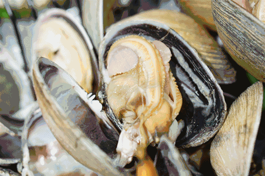 私藏1800亩高尔夫球场的“深氧酒店”来了,堪称魔都的洗肺圣地!(图18) 图片