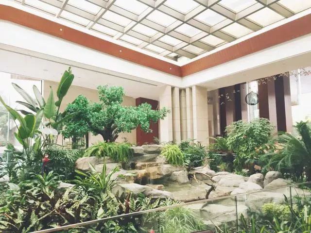 私藏1800亩高尔夫球场的“深氧酒店”来了,堪称魔都的洗肺圣地!(图6) 图片