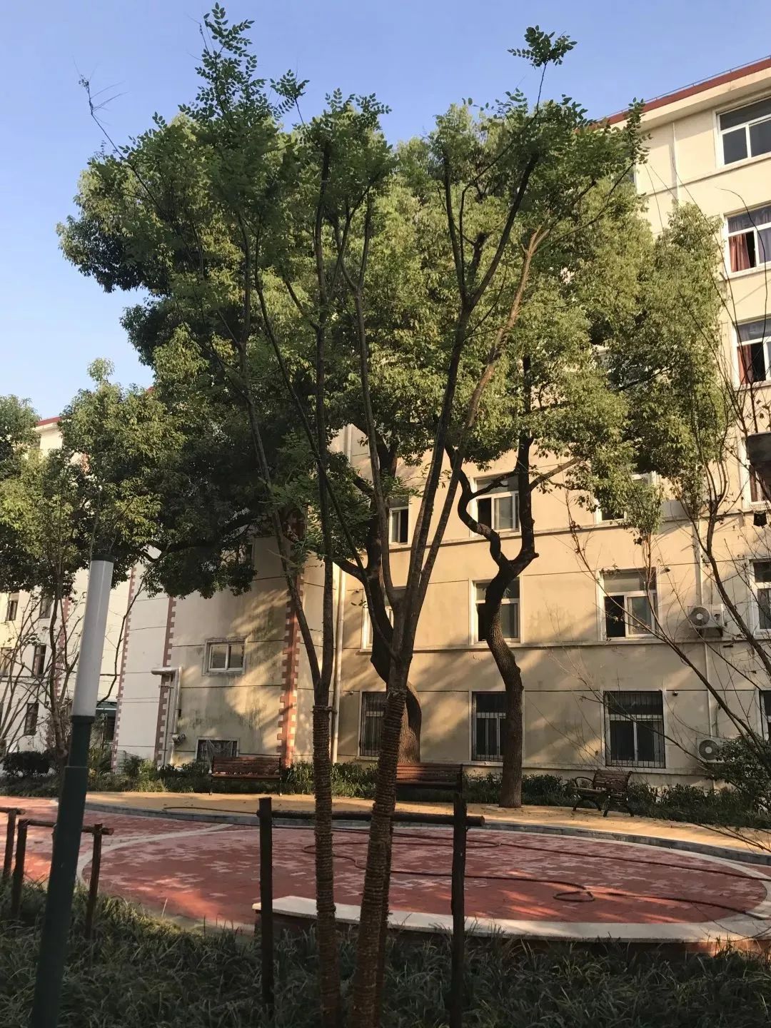 上海长途汽车总站在哪_上海总站汽车票_上海长途汽车客运总站怎么坐车