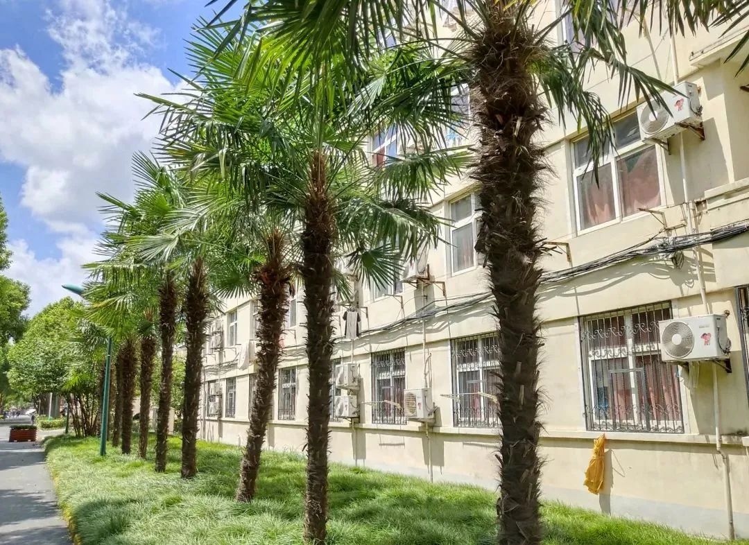 上海总站汽车票_上海长途汽车总站在哪_上海长途汽车客运总站怎么坐车